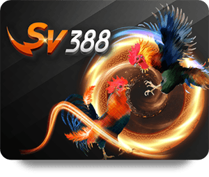 Hướng dẫn cách đặt cược trong blackjack trực tuyến thành công